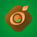 Tienda onho_sushi